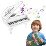 Hot Selling 24-Keys Multi-Functional Music Piano Toy Educational Plastic Keyboard Toy for Kids - Image 3