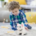 Cute Meaoo Loving Cat