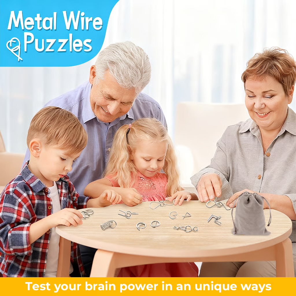 IMG_0645 Metal Montessori Puzzle Solving - Image 1