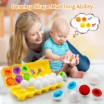 Matching Eggs Color Recognition and Shape-12 PCS