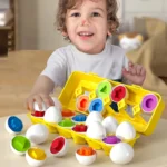 Matching Eggs Color Recognition and Shape-12 PCS - Image 2