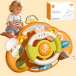 Fun Rabbit  Staring Wheel For kids